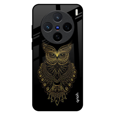 Golden Owl Vivo X200 5G Glass Back Cover Online