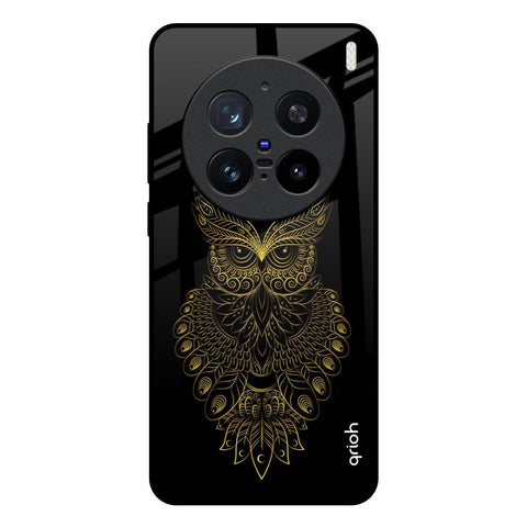 Golden Owl Vivo X200 Pro 5G Glass Back Cover Online