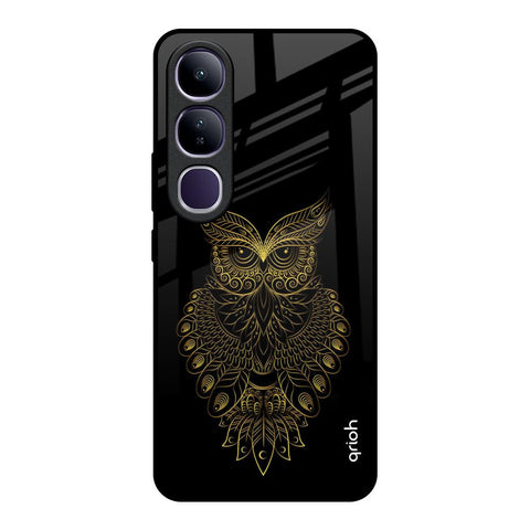 Golden Owl Vivo Y300 5G Glass Back Cover Online