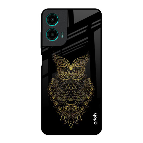 Golden Owl Motorola G35 5G Glass Back Cover Online