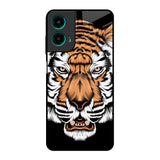 Angry Tiger Motorola G35 5G Glass Back Cover Online