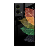 Colorful Leaves Motorola G85 5G Glass Back Cover Online