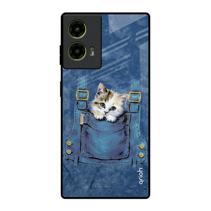 Kitty In Pocket Motorola G85 5G Glass Back Cover Online