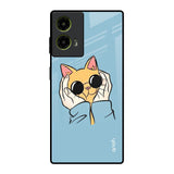 Adorable Cute Kitty Motorola G85 5G Glass Back Cover Online
