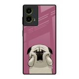 Funny Pug Face Motorola G85 5G Glass Back Cover Online