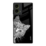 Kitten Mandala Motorola G85 5G Glass Back Cover Online