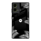 Zealand Fern Design Motorola G85 5G Glass Back Cover Online