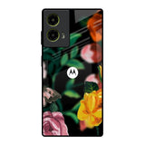 Flowers & Butterfly Motorola G85 5G Glass Back Cover Online