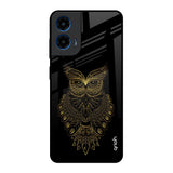 Golden Owl Motorola G45 5G Glass Back Cover Online