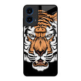 Angry Tiger Motorola G45 5G Glass Back Cover Online