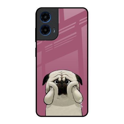 Funny Pug Face Motorola G45 5G Glass Back Cover Online