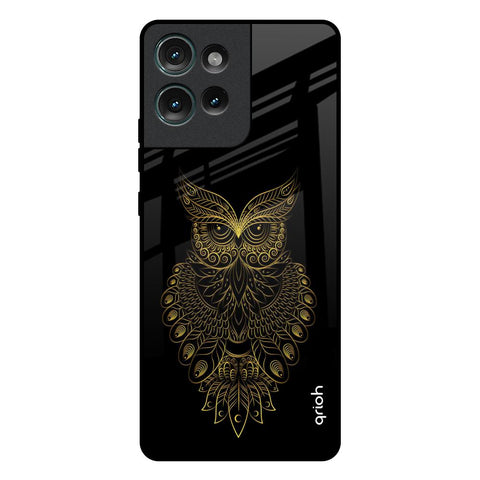 Golden Owl Motorola Edge 50 5G Glass Back Cover Online
