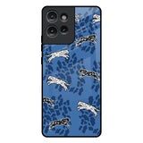 Blue Cheetah Motorola Edge 50 5G Glass Back Cover Online