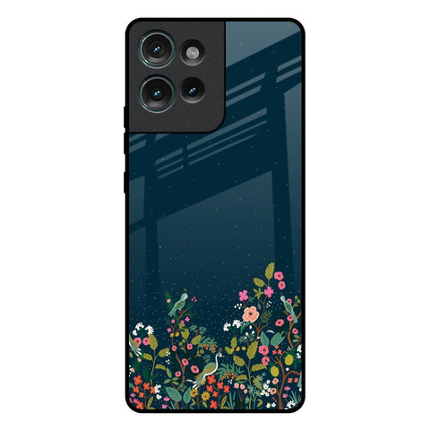 Small Garden Motorola Edge 50 5G Glass Back Cover Online