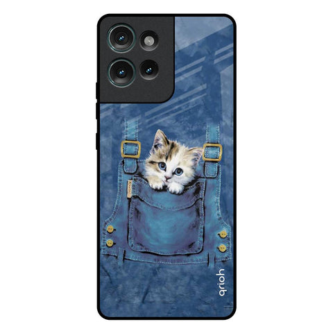 Kitty In Pocket Motorola Edge 50 5G Glass Back Cover Online
