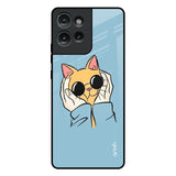 Adorable Cute Kitty Motorola Edge 50 5G Glass Back Cover Online