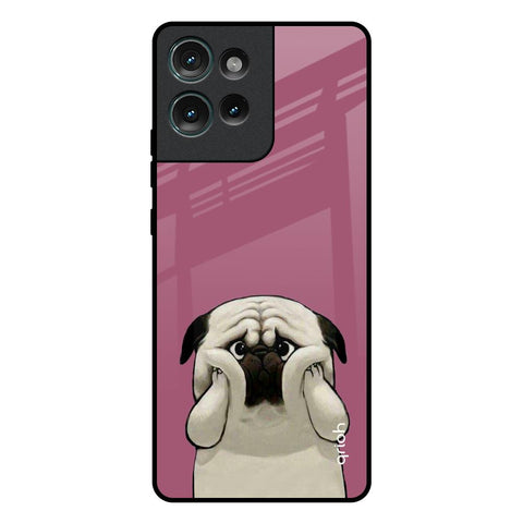 Funny Pug Face Motorola Edge 50 5G Glass Back Cover Online