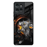 Aggressive Lion Motorola Edge 50 5G Glass Back Cover Online