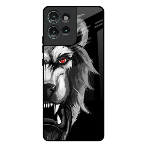 Wild Lion Motorola Edge 50 5G Glass Back Cover Online