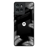 Zealand Fern Design Motorola Edge 50 5G Glass Back Cover Online