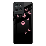Fly Butterfly Motorola Edge 50 5G Glass Back Cover Online