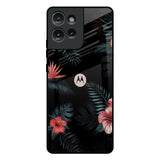 Tropical Art Flower Motorola Edge 50 5G Glass Back Cover Online