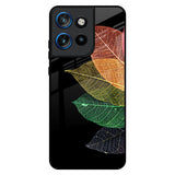 Colorful Leaves Motorola Edge 50 Neo 5G Glass Back Cover Online