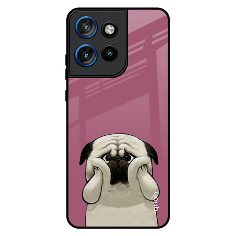 Funny Pug Face Motorola Edge 50 Neo 5G Glass Back Cover Online