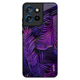 Plush Nature Motorola Edge 50 Neo 5G Glass Back Cover Online