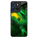 Forest Galaxy Motorola Edge 50 Neo 5G Glass Back Cover Online