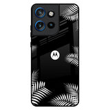 Zealand Fern Design Motorola Edge 50 Neo 5G Glass Back Cover Online