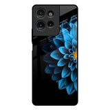 Half Blue Flower Motorola G75 5G Glass Back Cover Online