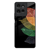 Colorful Leaves Motorola G75 5G Glass Back Cover Online