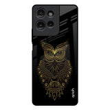 Golden Owl Motorola G75 5G Glass Back Cover Online
