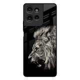 Brave Lion Motorola G75 5G Glass Back Cover Online