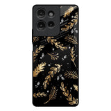 Autumn Leaves Motorola G75 5G Glass Back Cover Online