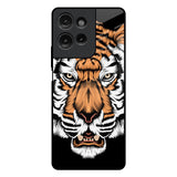 Angry Tiger Motorola G75 5G Glass Back Cover Online