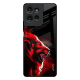 Red Angry Lion Motorola G75 5G Glass Back Cover Online
