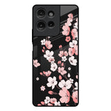Black Cherry Blossom Motorola G75 5G Glass Back Cover Online