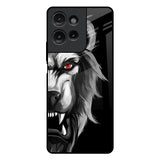 Wild Lion Motorola G75 5G Glass Back Cover Online