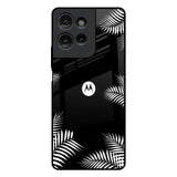 Zealand Fern Design Motorola G75 5G Glass Back Cover Online