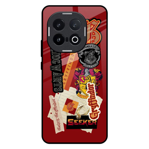 Gryffindor IQOO 13 5G Glass Back Cover Online