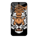 Angry Tiger Samsung Galaxy F15 5G Glass Back Cover Online