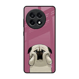 Funny Pug Face OnePlus 13R 5G Glass Back Cover Online