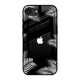Zealand Fern Design Apple iPhone 16e Glass Back Cover Online