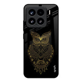 Golden Owl Mi 15 5G Glass Back Cover Online