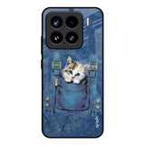Kitty In Pocket Mi 15 5G Glass Back Cover Online