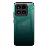 Palm Green Mi 15 5G Glass Back Cover Online