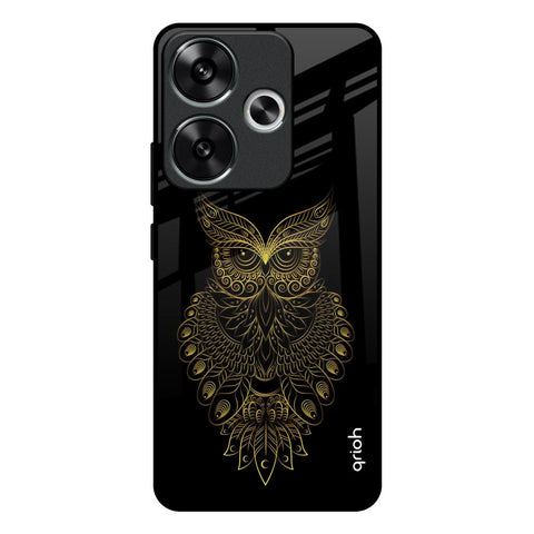 Golden Owl Poco F6 5G Glass Back Cover Online