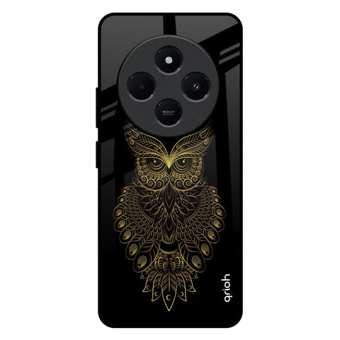 Golden Owl Redmi 14C 5G Glass Back Cover Online